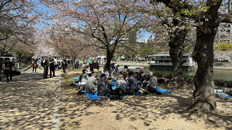 Oslavy Hanami – japonského svátku kvetoucích sakur