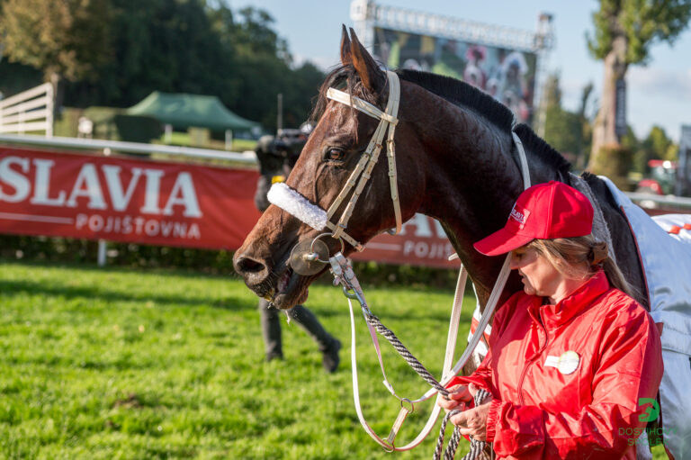 Velká pardubická a její titulární partner Slavia pojišťovna tu jsou už půldruhého století